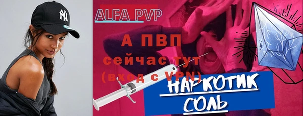 спиды Горняк