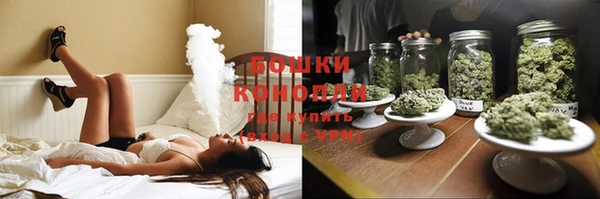 спиды Горняк