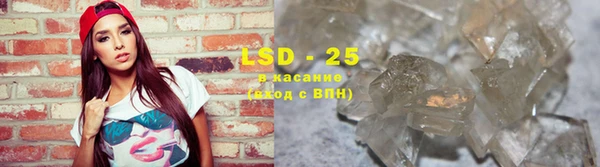 спиды Горняк