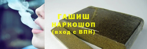 спиды Горняк