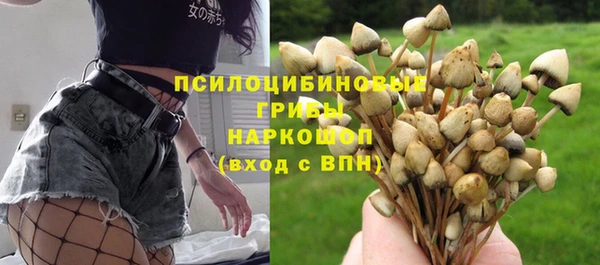 спиды Горняк