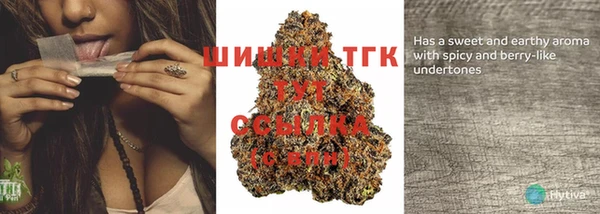 дживик Горнозаводск