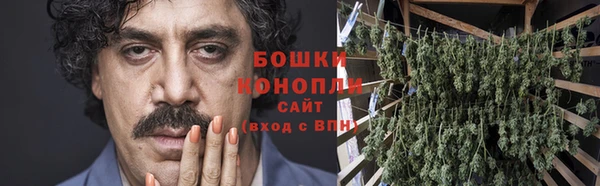 спиды Горняк