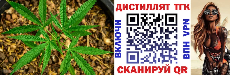 Купить  Севск  Дистиллят ТГК гашишное масло 