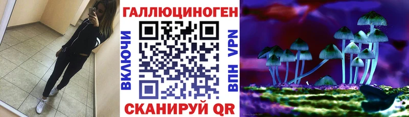 Купить где  Севск  Псилоцибиновые грибы мухоморы 